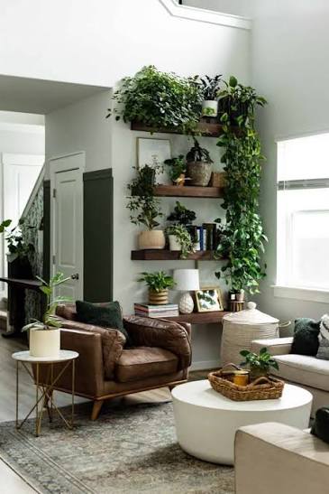 Decor
